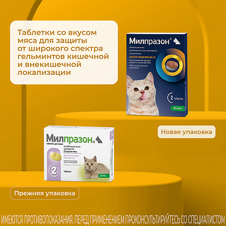 Милпразон для котят и кошек до 2 кг 4 мг/10 мг упаковка 2 таблетки