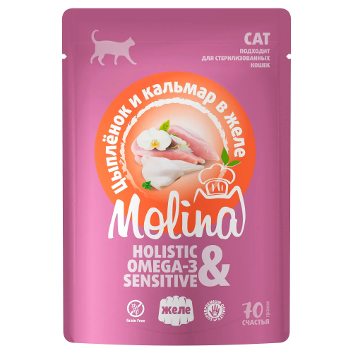 Molina влажный корм для кошек с цыплёнком и кальмаром в желе, 70 г