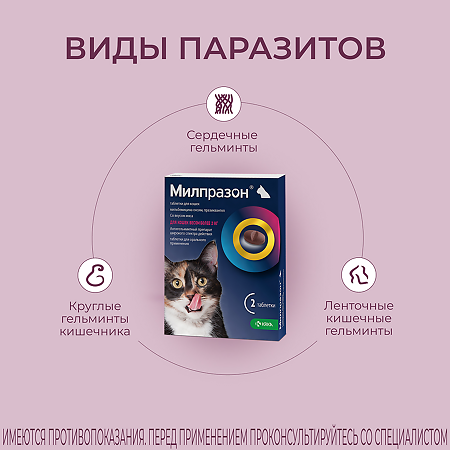 Милпразон для кошек более 2 кг 16 мг/40 мг 2 таблетки
