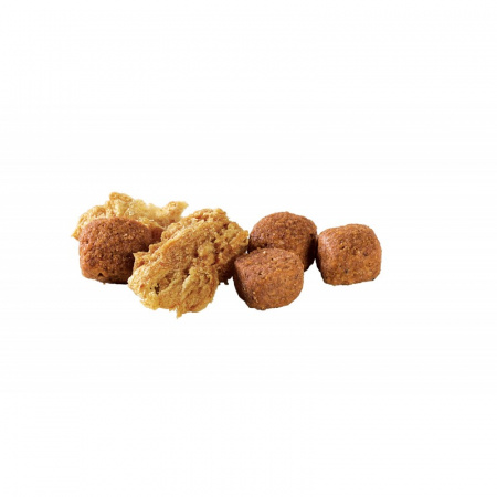 Purina Pro Plan Duo Delice сухой корм для взрослых собак крупных пород с лососем и рисом, 2,5 кг