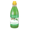 Iv San Bernard (ISB) Fruit of the Groomer Mint Шампунь для любого типа шерсти с витамином B6 500мл