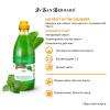 Iv San Bernard (ISB) Fruit of the Groomer Mint Шампунь для любого типа шерсти с витамином B6 500мл