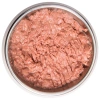 Monge Monoprotein влажный корм для кошек с индейкой, 85 г