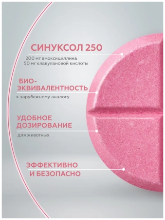 Синуксол-нита 250 мг упаковка 10 таблеток